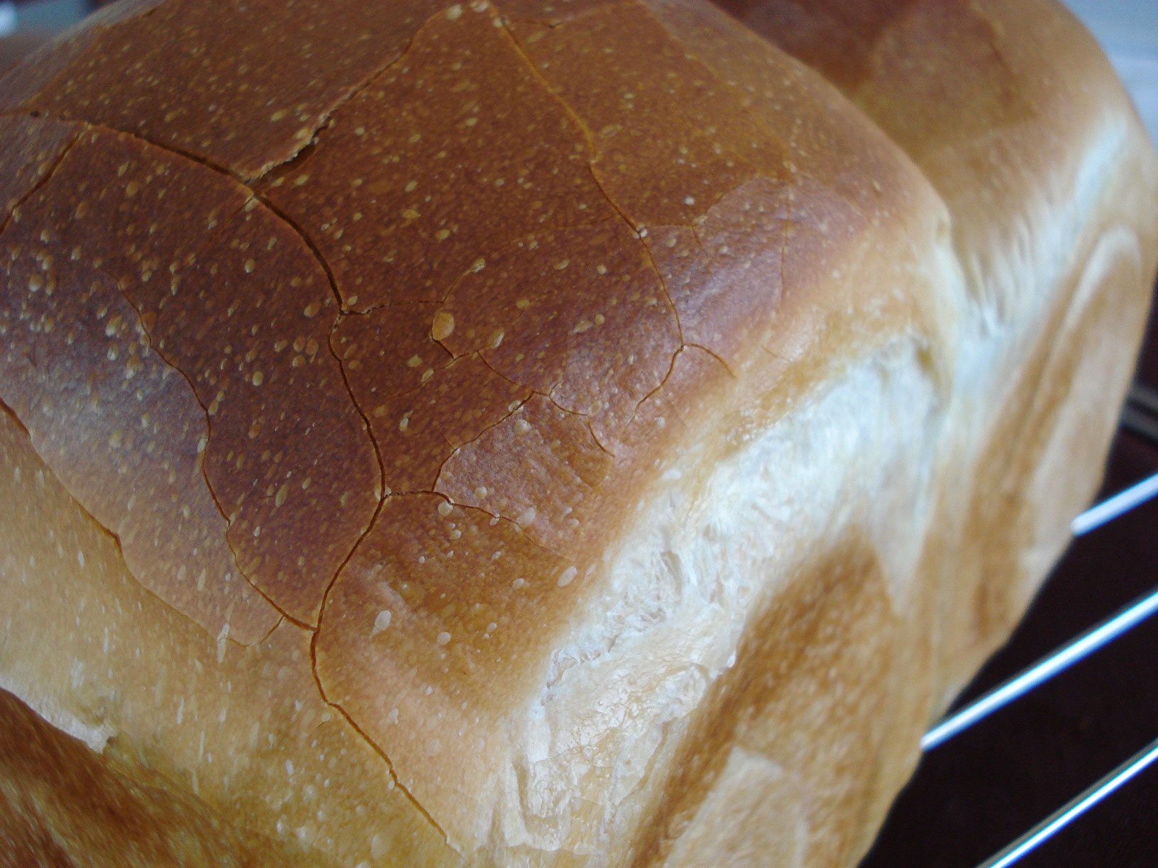 食パン レシピ ハード 【レシピ】失敗なし！のハードブレッド。「ニューヨークタイムズ」で紹介された、こねないパン。